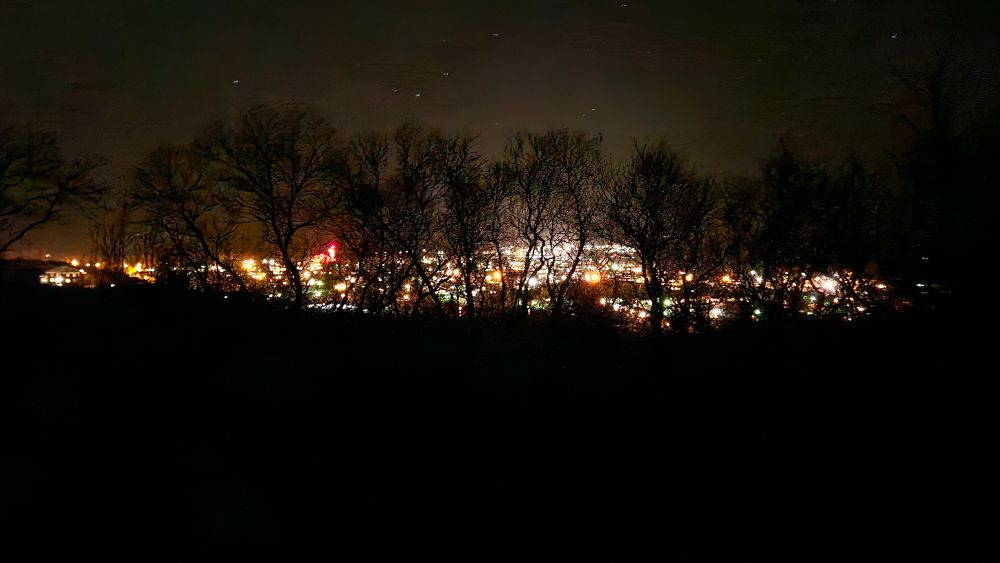 Nachtansicht einer beleuchteten Stadt. Im Vordergrund eine laublose Baumreihe, dahinter ein Lichterteich.