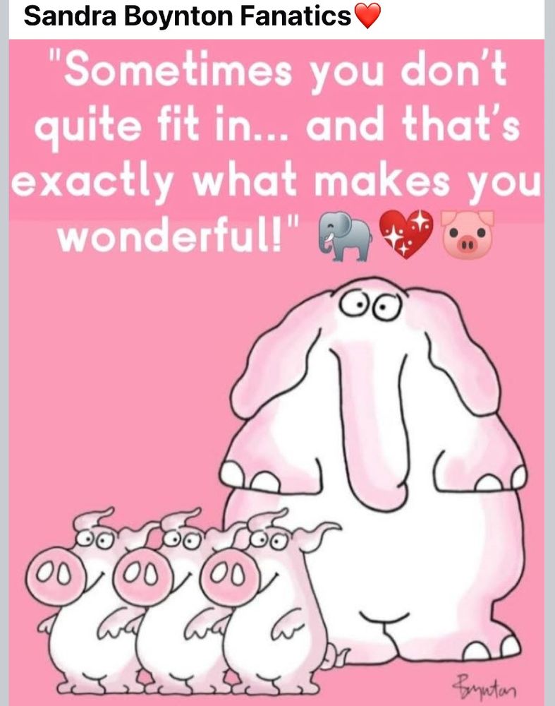 A big pink elephant behind 3 pink pigs. "Sometimes you don't quite fit in... and that's exactly what makes you wonderful!"
