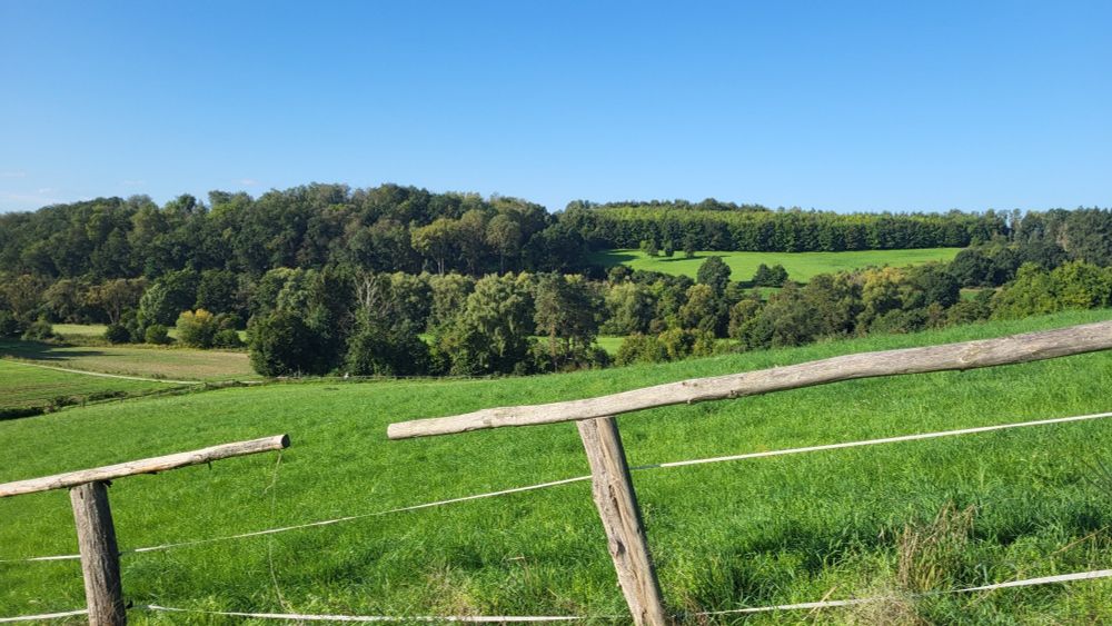 Felder, Wiesen und Wälder im Limburger Raum