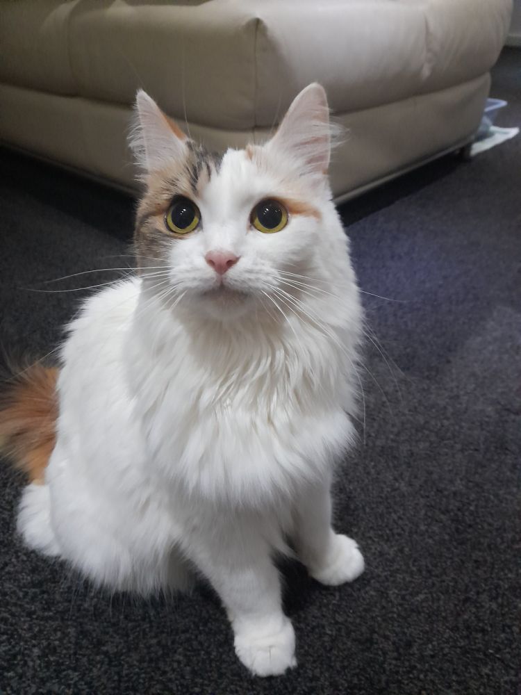 Trina is sitting, looking into camera. 
