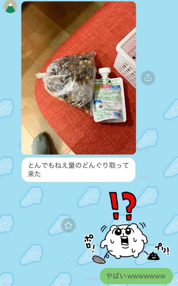 大人の手のひらサイズくらいパンパンにどんぐりが詰まった袋の写真と「とんでもねえ量のどんぐり取ってきた」という夫からのLINE
100粒以上ありそうに見える
いつもは多くても30粒程度