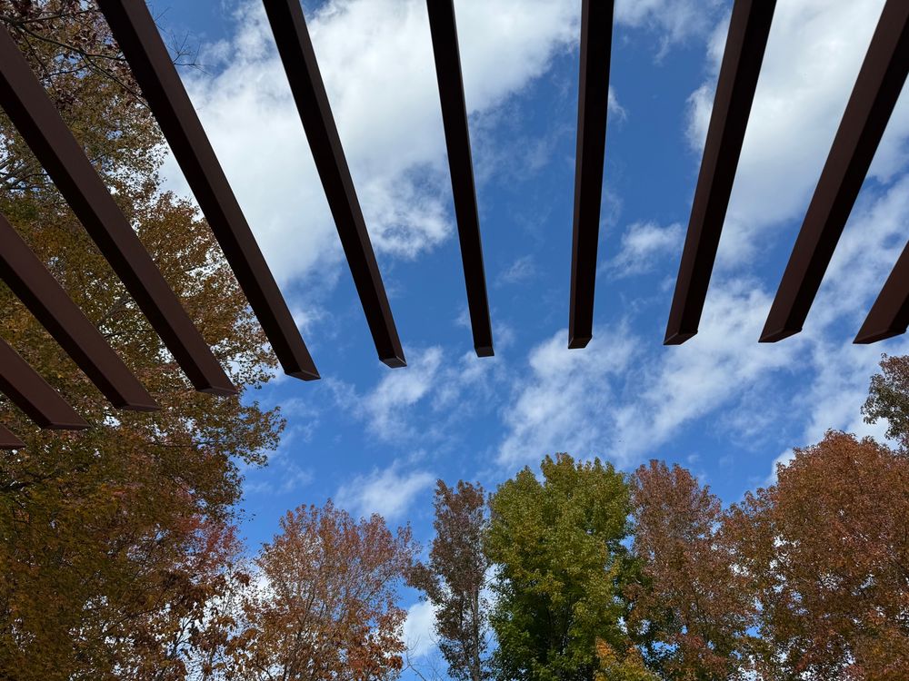 公園で撮影した空
紅葉とベンチに備え付けられている屋根？も写っている