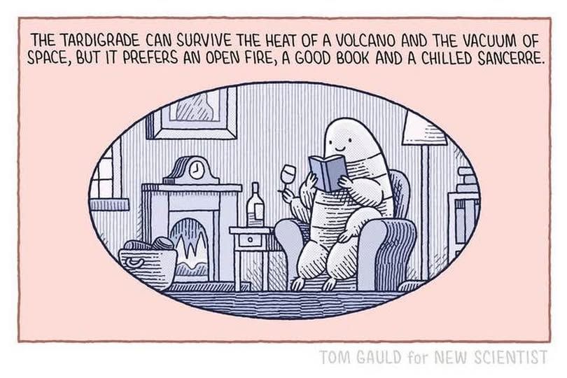 "The tardigrade can survive the heat of a volcano and the vacuum of space, but it prefers an open fire, a good book and chilled sancerre."