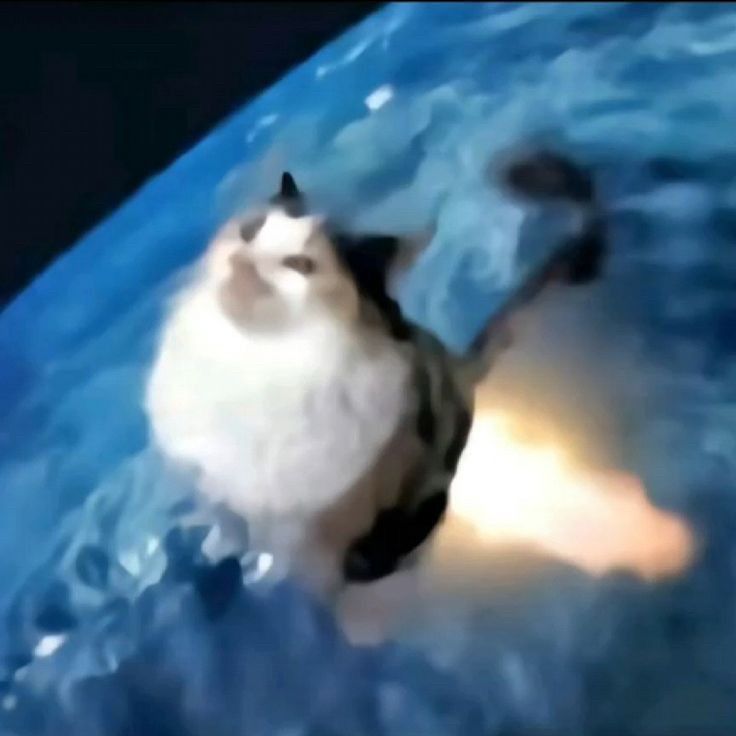 blurry edited pic of a cat leaving earth like a rocket with a rocket trail behind them