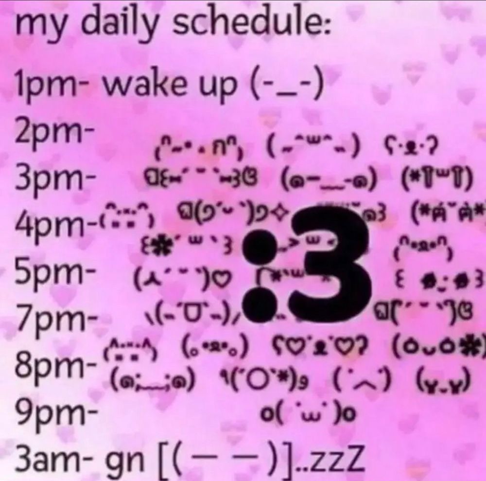 my daily schedule 1pm: wake up 2pm-9pm: various text emojis 3am: gn with text emoji and zzz