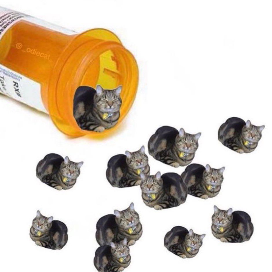 loafing cat edited to be the size of a pill coming out of a pill bottle. there are many of them