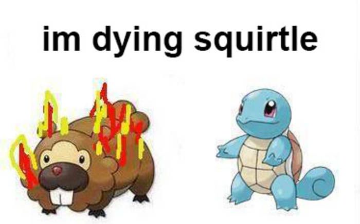 I’m dying squirtle 