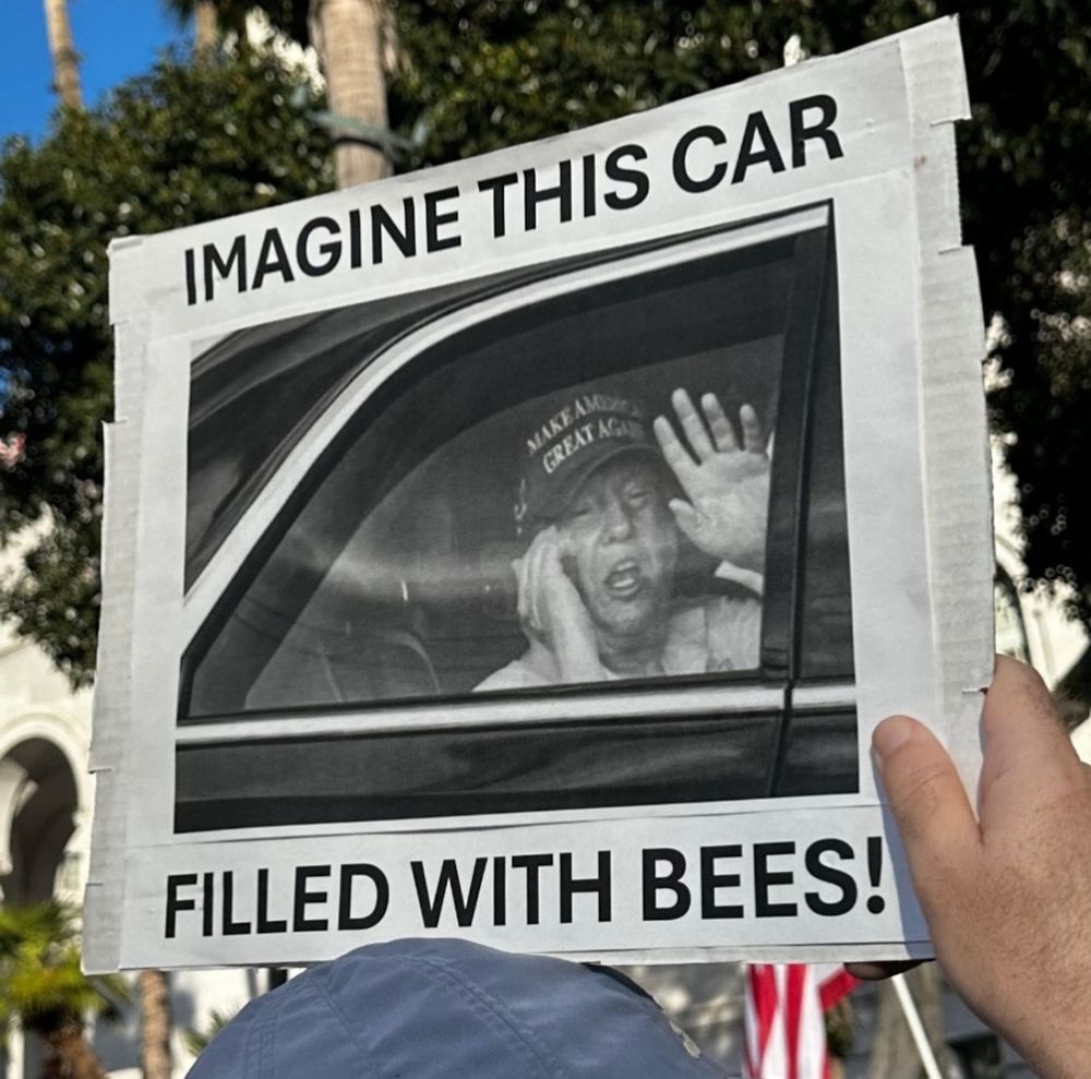 Bees in car with Trump