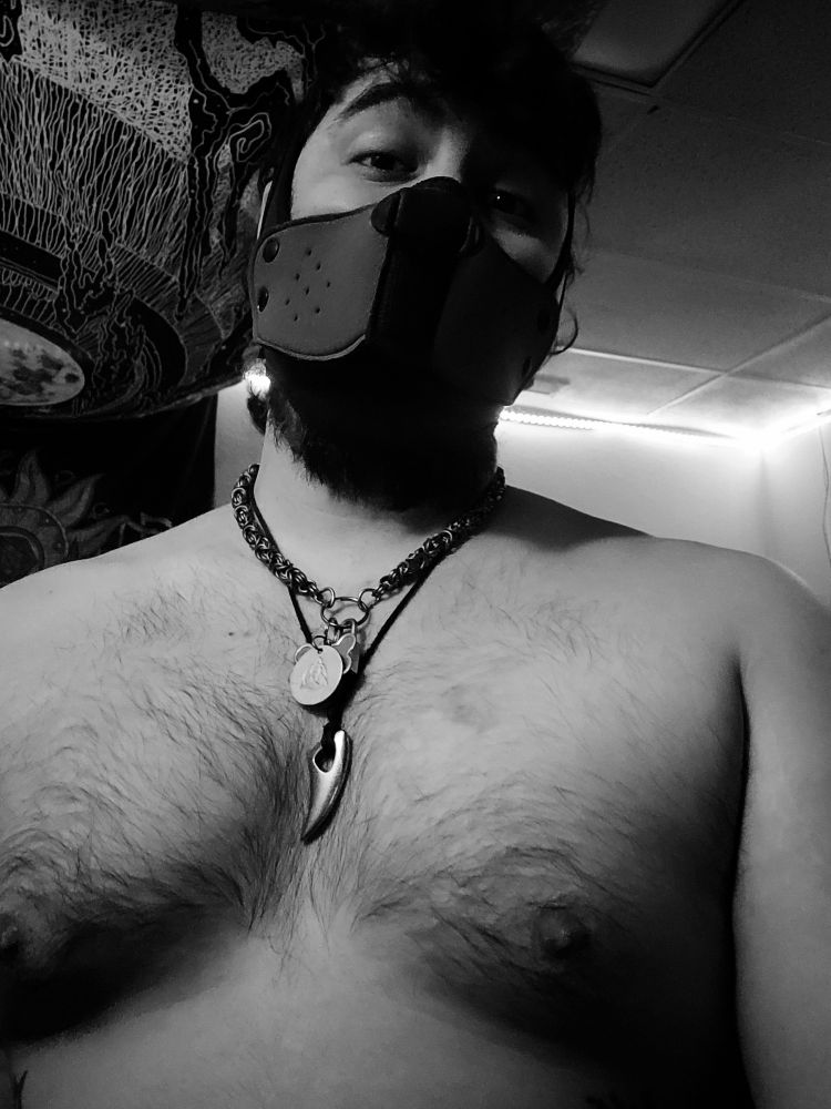 Shirtless masculine presenting person with a pup play half hood on (pup hood only covers lower half of face with a red pup muzzle. ) showing off chest up