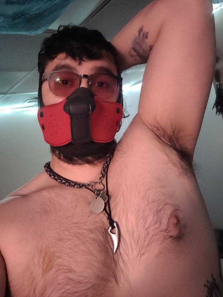 Masculine presenting person shirtless showing chest up wearing a red half pup play hood. 