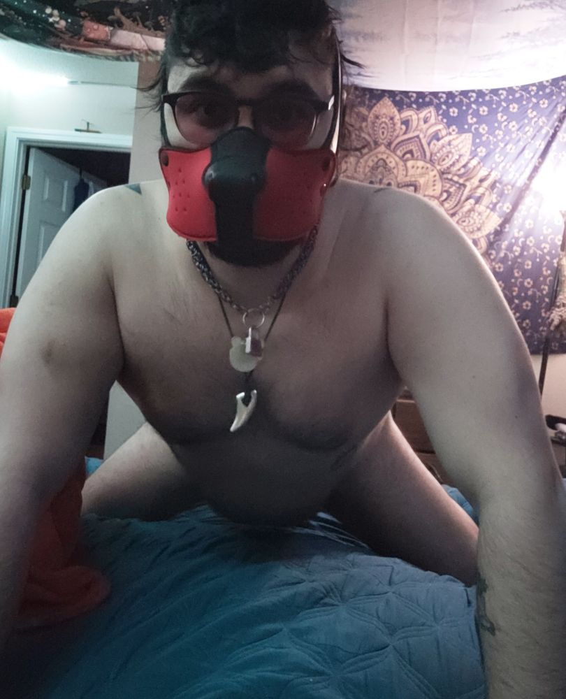 Masculine presenting person on all fours, wearing a half pup play hood. 
