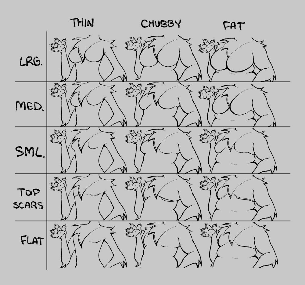 A digitally drawn chart showing the large, medium, small, top scars, and flat chests on the three different body weights.