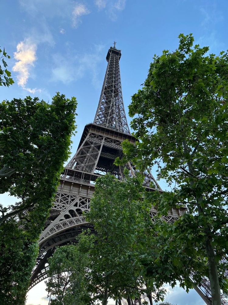Eiffel Tower and trees
