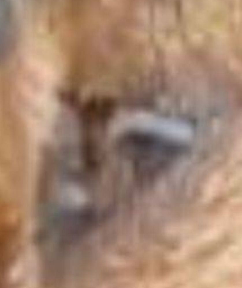 Extremely zoomed in version of the same photo. Motherfuckin' Ringu eye! 