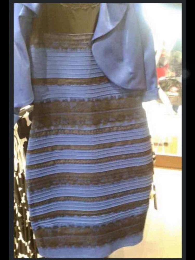 The dress meme that was blue/black or white/gold, depending who was looking at it.