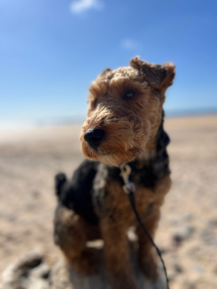 Bryn at the beach