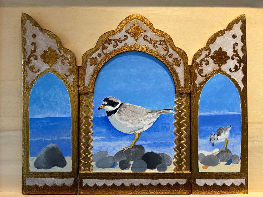 A ringing plover and chick walk along the shoreline 
