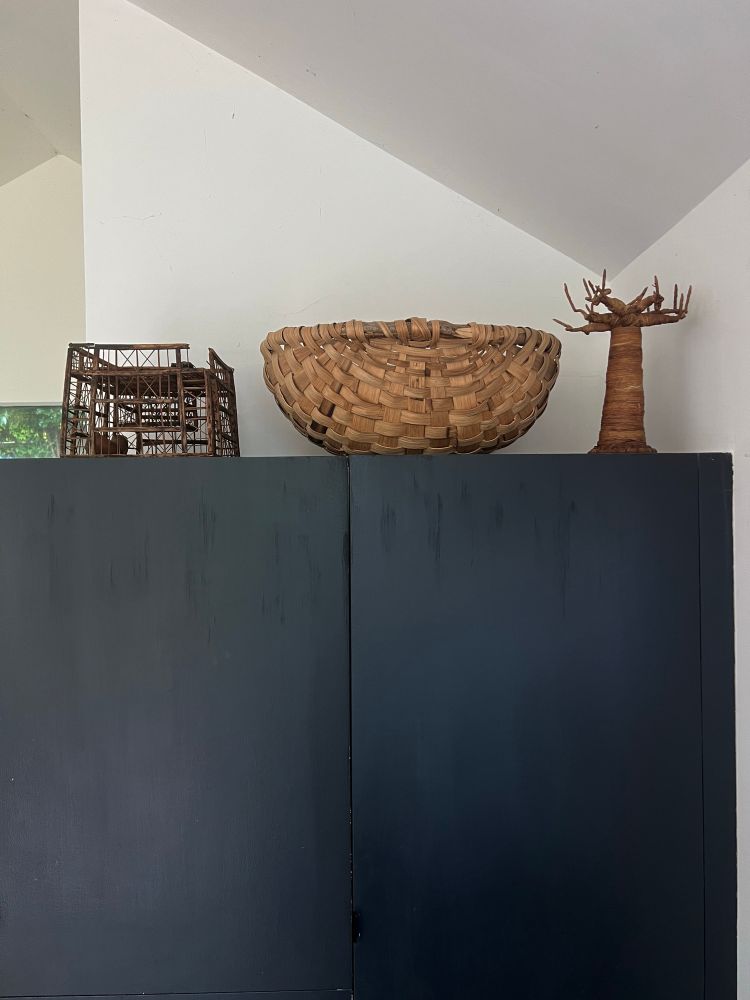 An African bird trap an English oak swill and an African Baobab  