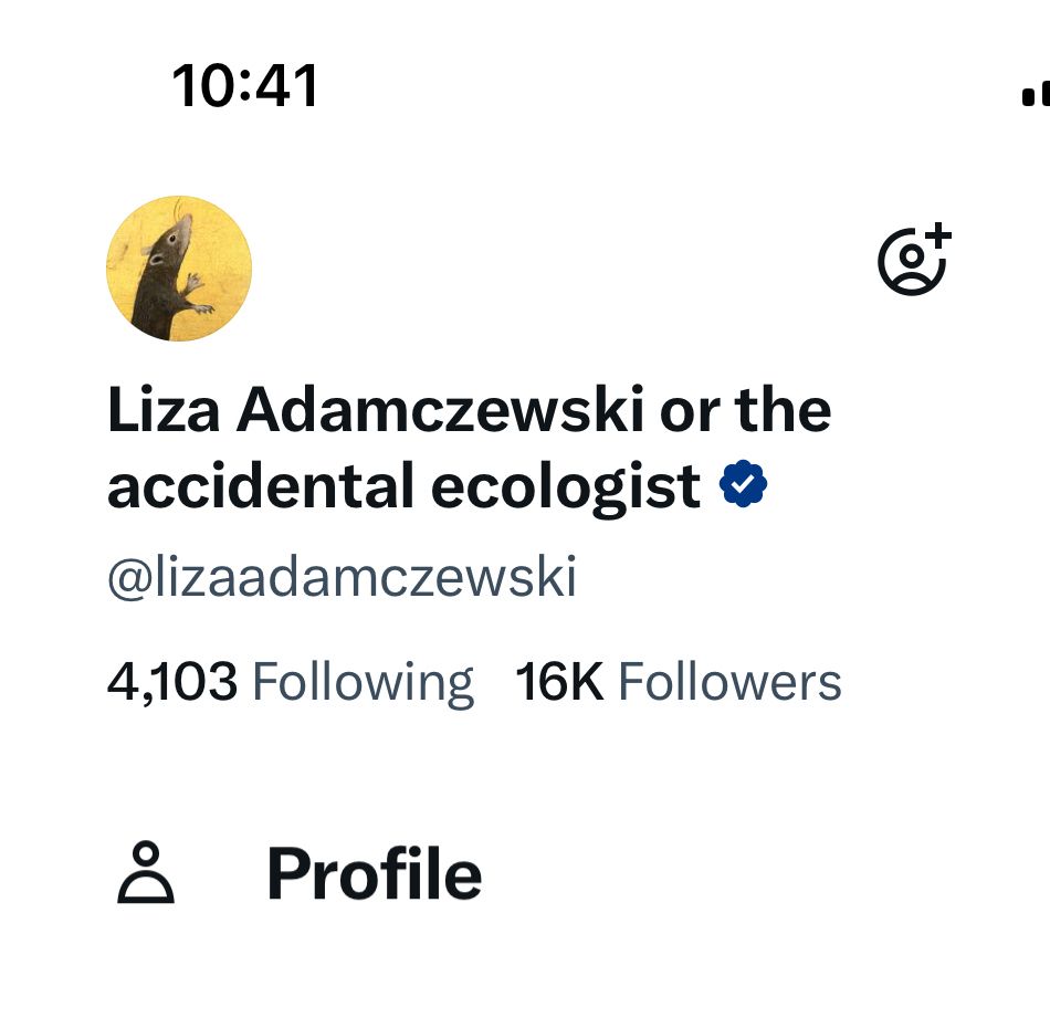 My profile on X 