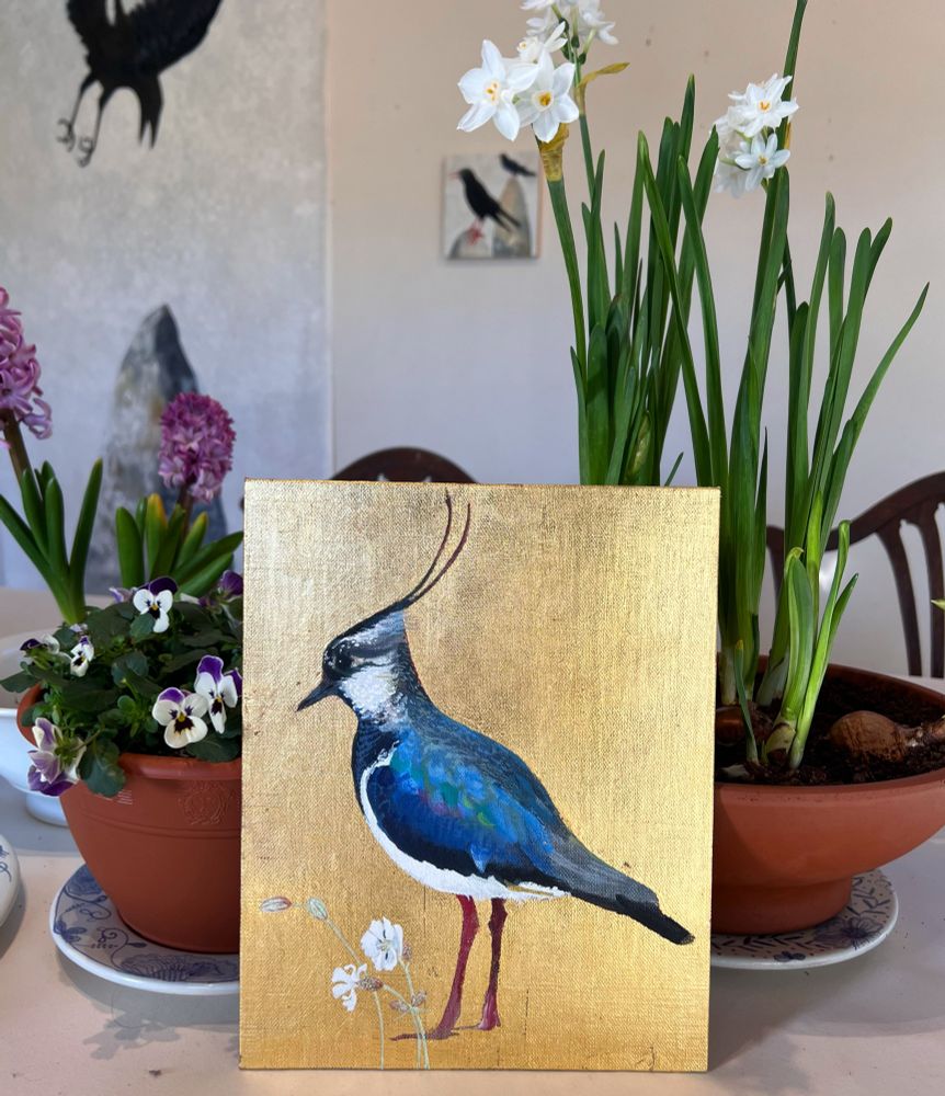 A lapwing icon