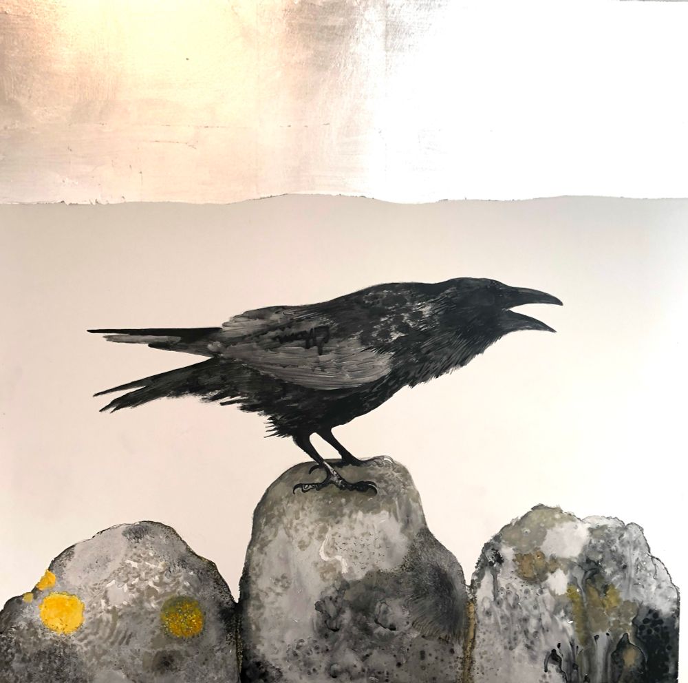 A raven stands on top of a stone wall its bill open, its cronking. The sky is silver the dark stones have lichen on them this adds some yellow areas 