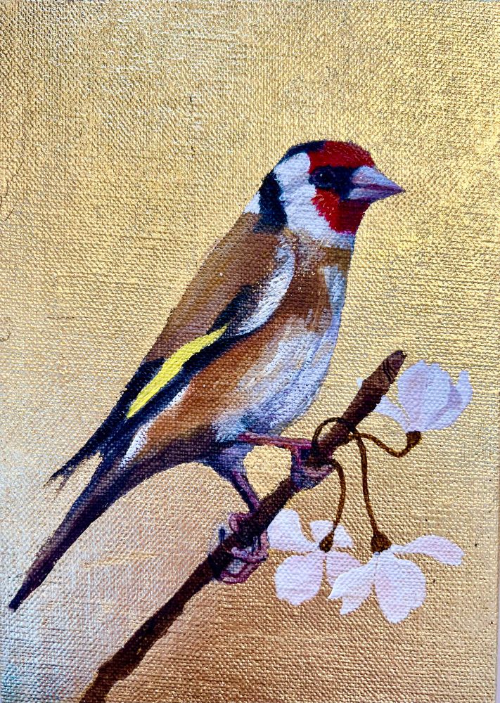 Goldfinch on a sprig of blossom 