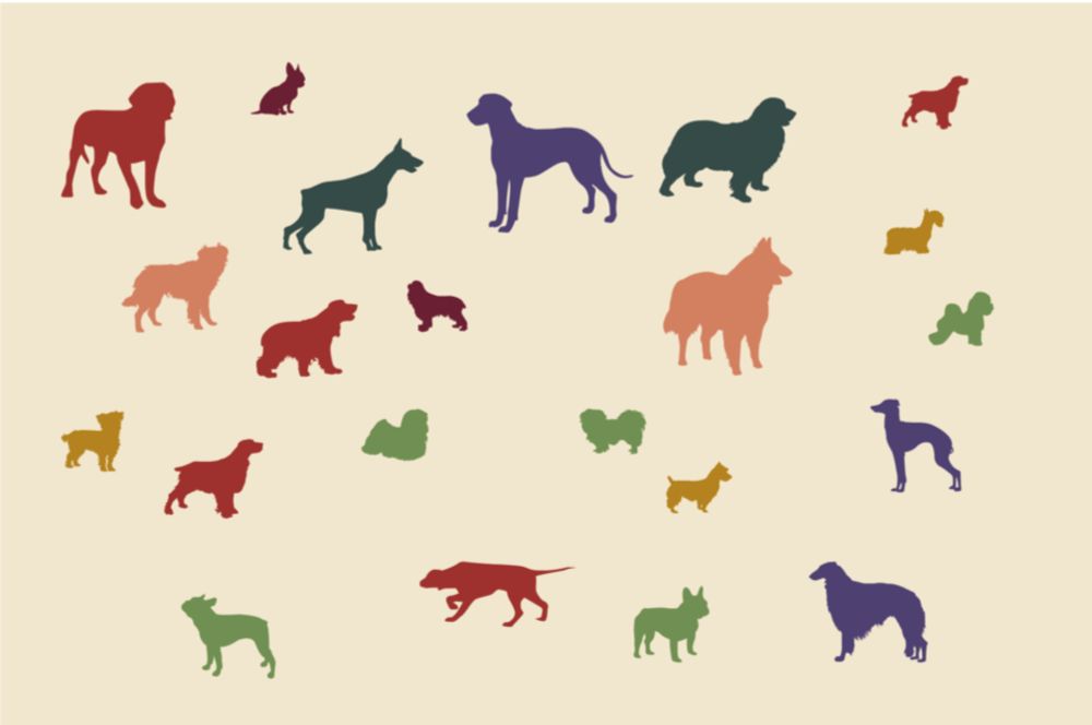 Best in Show – What’s the Best Dog Breed, According to Data? — Information is Beautiful