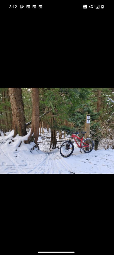 どのトレイルバイクを買えばいいですか？