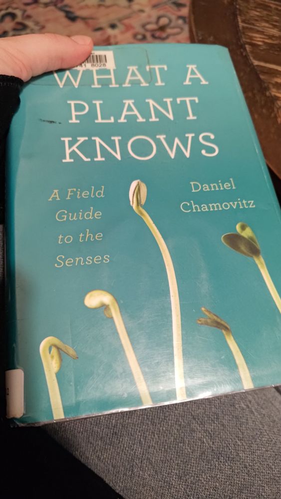 The cover of the book "What a Plant Knows: A Field Guide to the Senses" by Daniel Chamivitz. It has a blue background and 5 seedlings sprouting up from the bottom.