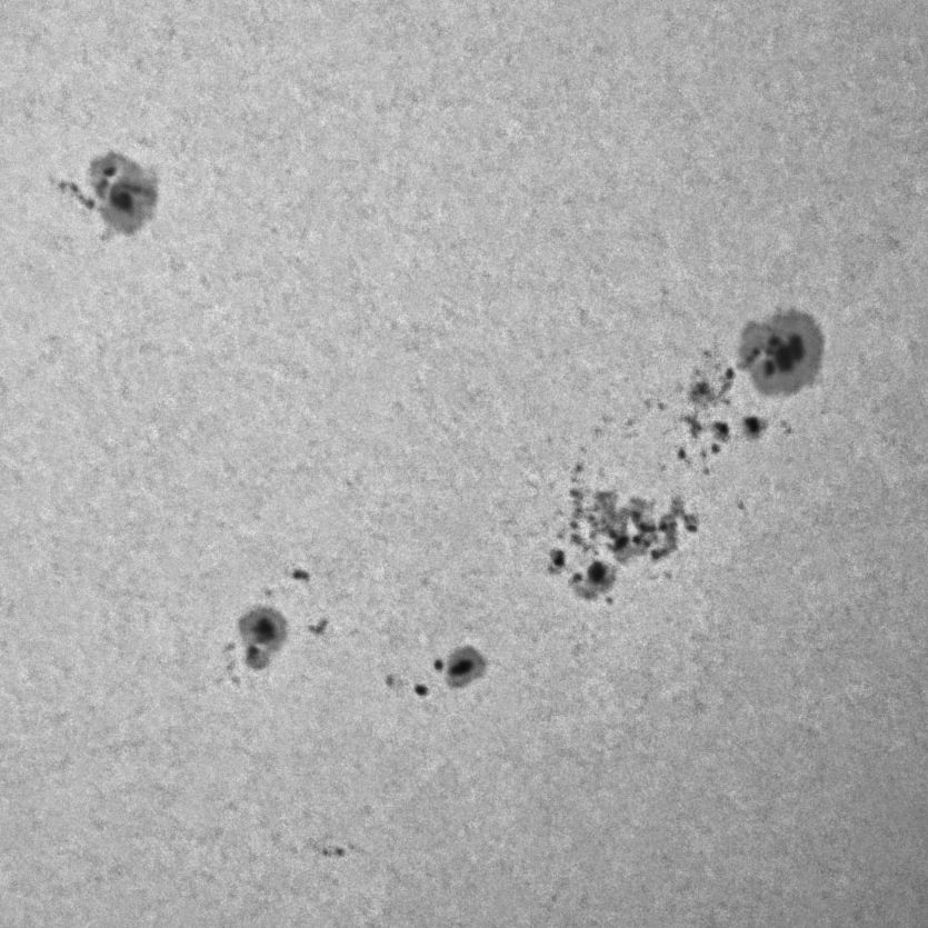 a closeup view of the largest sunspot group which has a bunch of tiny spots in a cluster