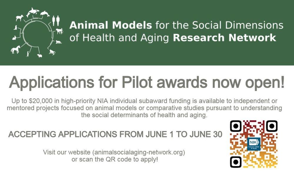 A graphic describing the details related to applying for the Pilot awards of the Animal Models Social Aging network. Visit animalsocialaging-network.org for details.