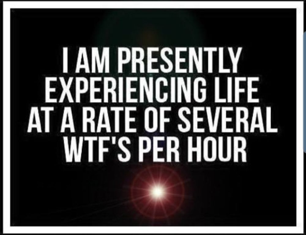 Graphic that says I am presently experiencing life at a rate of several WTF per hour