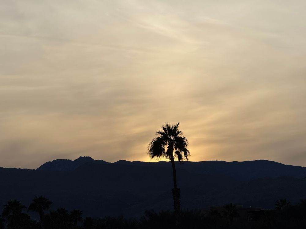 Picture of a cloudy sky and single palm tree silhouetted by the setting sun. Mountain and cloudy sky in the background.