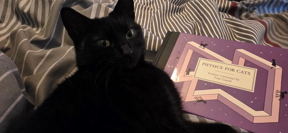Mimi, a black cat, lying next to our new reading material. 