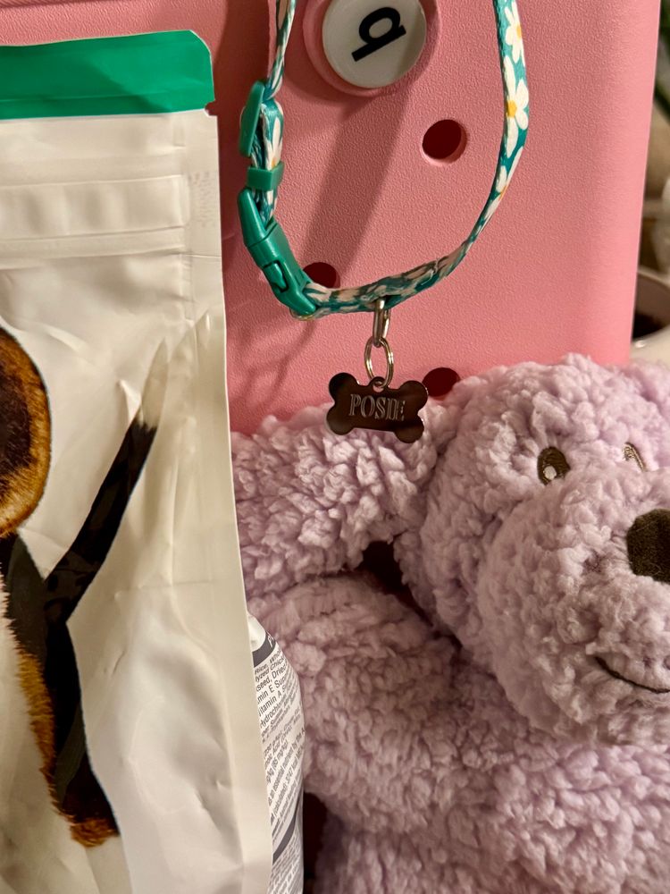 a purple puppy dog toy, corner of a puppy food bag, and a collar with a tag that says “Posie” hanging from the strap of a pink bag