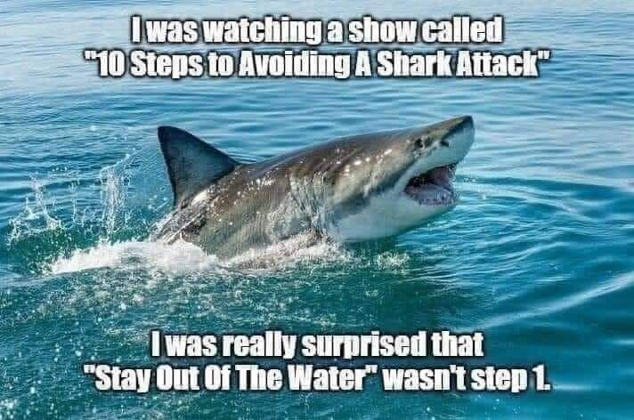 I was watching a show called "10 Steps to Avoiding A Shark Attack" I was really surprised that "Stay Out Of The Water" wasn't step 1.