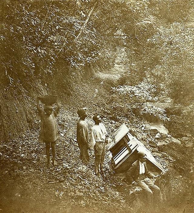 Forest trail in Jamaica, 1897