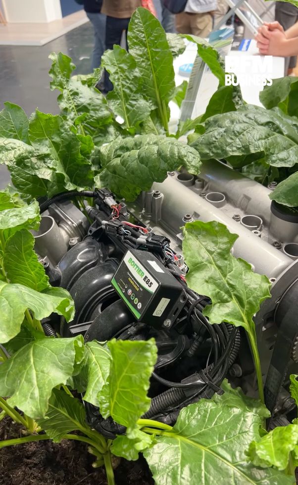 Dans un reportage de BFMTV Business au Salon de l’auto 2024, un moteur muni d'un boîtier présenté sur du terreau, constellé de feuillages.