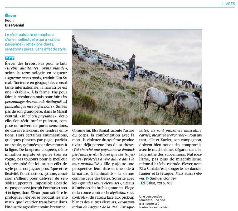 Critique du livre “Élever”, d’Elsa Sanial, dans Télérama :
Élever des brebis. Pas pour le lait : “Brebis allaitantes, ovins viande”, selon la terminologie en vigueur. “Agneaux morts quoi”, traduit Elsa Sanial. Docteure en géographie, consultante internationale, la narratrice est une “établie”. À la ferme. Pas pour faire la révolution mais pour fuir “les personnages de ce monde distingué […] plus sales que mes ongles noirs”. Sur les pas de son grand-père, dans le Massif central, « j’ai choisi paysanne », écrit-elle. Son récit, bref et puissant, compose un univers de pures sensations, de dures réflexions, de tendres émotions. Hors certaines énumérations, quelques phrases par page, parfois une seule, rythmées par des retours à la ligne. De la « prose coupée », dénomination ingrate et genre très en vogue, pas toujours pour le meilleur. Ici, nécessité fait loi. Aucun effet de style pour conjuguer prosaïque et réflexivité. Construction, rythme, concision s’allient pour délivrer de sensibles uppercuts. Impossible alors de ne pas penser à Joseph Ponthus et son À la ligne, dont Élever pourrait être le prologue : l’éleveuse produit les animaux que l’ouvrier transforme dans l’industrie agroalimentaire bretonne.
Comme lui, Elsa Sanial raconte l’usure du corps, la confrontation avec la mort, la violence du système productiviste déjà perçue lors de sa thèse : “J’ai cherché une paysannerie émancipée / mais je n’ai trouvé que des trajectoires / projetées à vive allure dans le mur mondialisé.” Elle y ajoute une perspective féministe et une ode à la nature, à l’animalité — la sienne comme celle des bêtes. Sororité avec les “grandes sœurs éleveuses”, utérus à l’unisson des brebis gestantes. Éloge de la ronce contre “la végétation sous contrôle”, du râteau face aux pick-up blancs des autres éleveurs, “transmutation de l’argent de la PAC. Exosquelettes, ils sont puissance masculine carnée, incarnée et excarnée”. Nul idéalisme, pas plus de misérabilisme, même si la tâche est rude.
