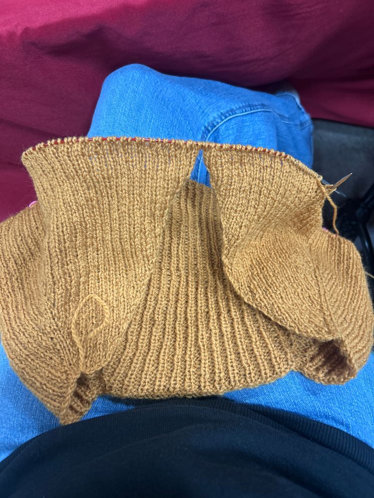 A mustard yellow knit ribbed cardigan divided for the sleeves on a background of my jeans! 