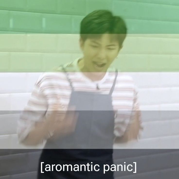 Yelling Namjoon in a cook's apron, overlaid with aromantic pride colors and text that reads [aromantic panic]
