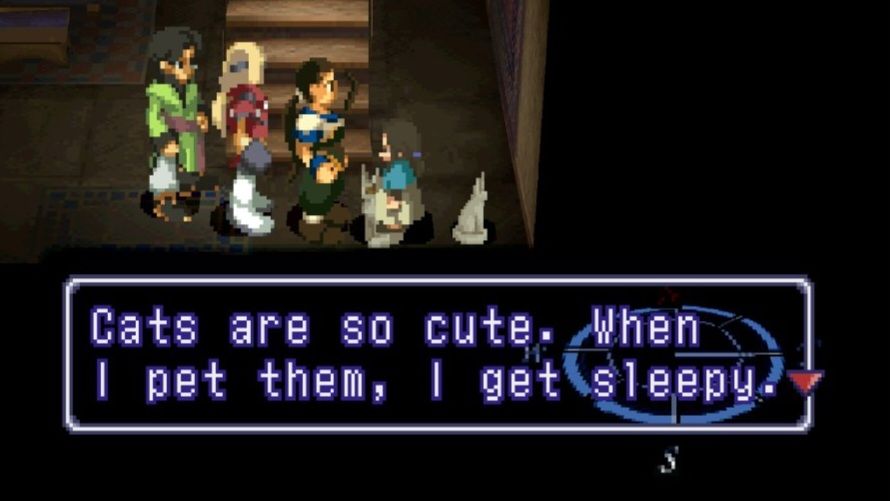 Cats are so cute. When I pet them, I get sleepy.