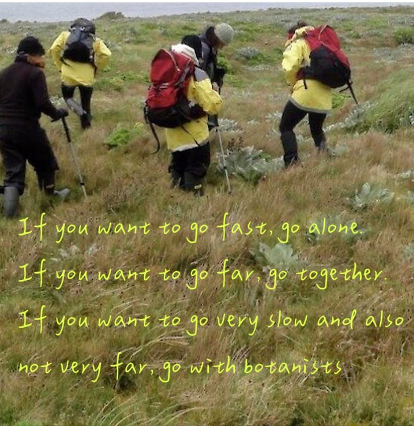 A group of botanists examining a small area of a field, the caption jokes about how no one gets far if you travel with botanists.