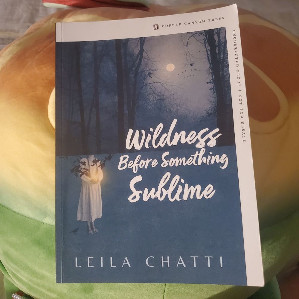 WILDNESS BEFORE SOMETHING SUBLIME BY LEILA CHATTI