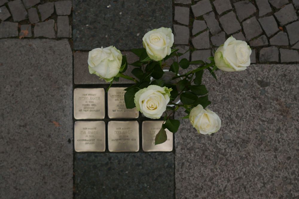 Fünf Stolpersteine im Gehweg, unscharf, fünf weiße Rosen, scharf