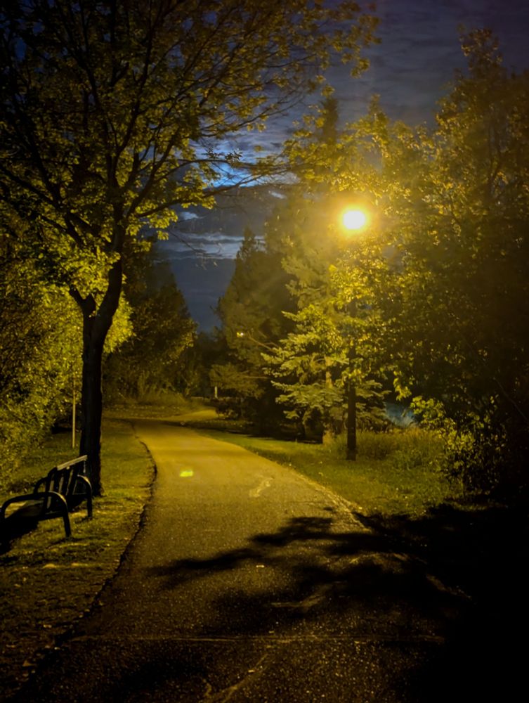 A paved walking path in the park at dusk with trimmed grass and trees and on either side. a lonely park bench on the left, and a glowing lamp on the right casting shadows of the trees on the path. 