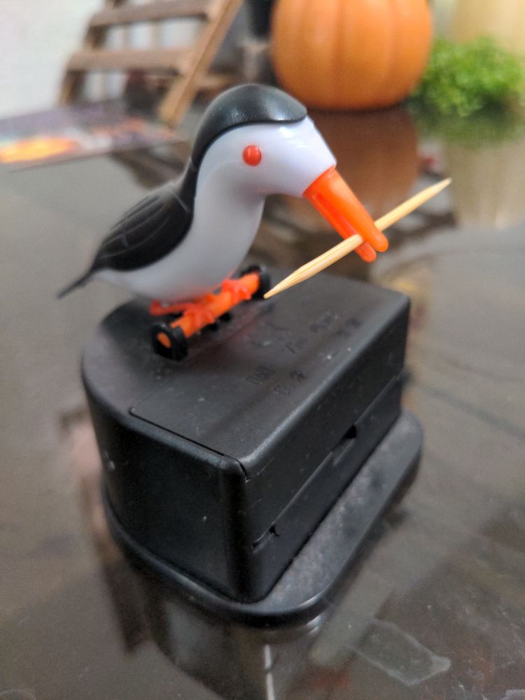 A bird-shaped toothpick dispenser. Push his head, and a little drawer opens and he picks out a toothpick for you. He is a friend.