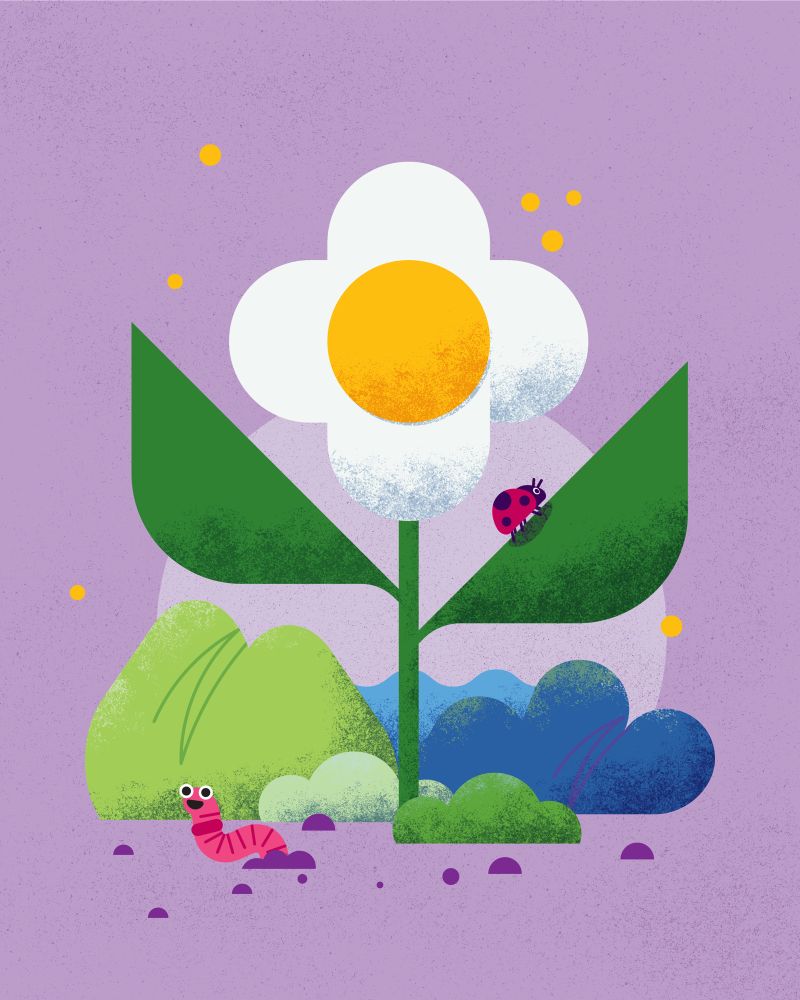 Stylised Illustration of a white flower against a purple background. On one of the green leaves sits a lady beetle and coming out of the ground is a smiling earthworm