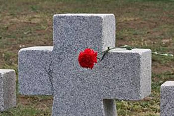 Ein weißes Steinkreuz auf einem Friedhof mit darauf abgelegter roter Schnittblume als Zeichen des Gedenkens