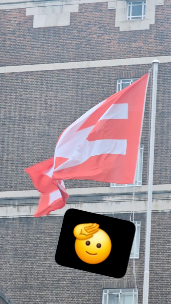 British Rail double arrow flag